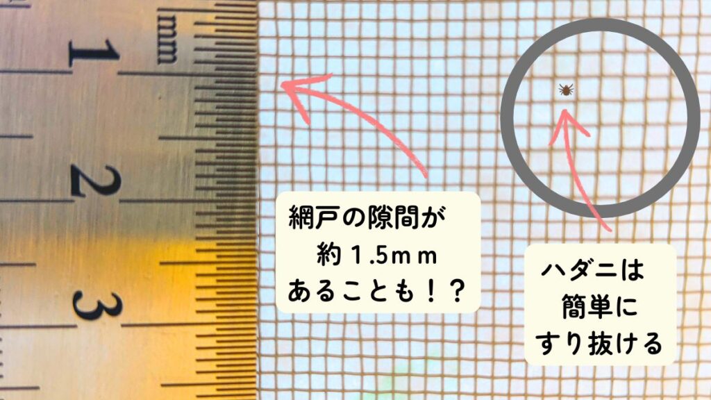 網戸のマスとハダニの大きさ比較